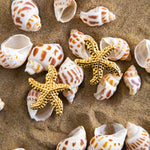 Aria Earrings - Kymond & Co