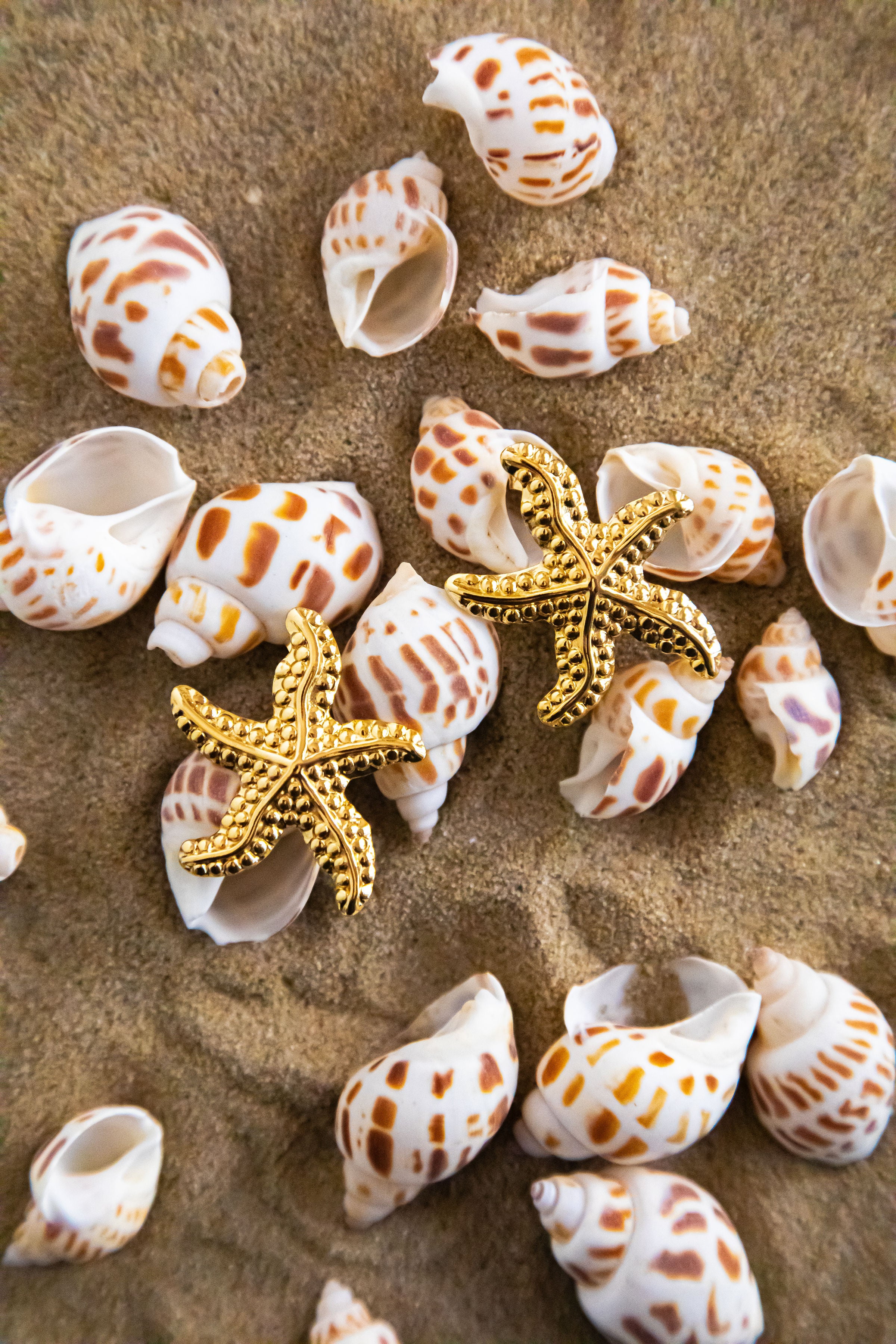 Aria Earrings - Kymond & Co