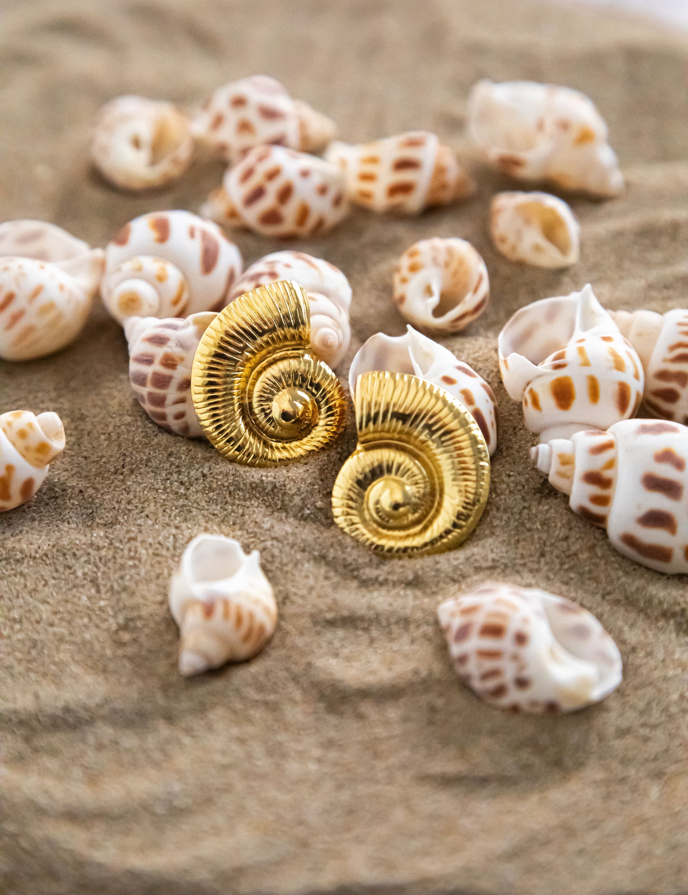 Emilia Earrings - Kymond & Co